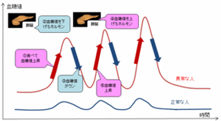 kettouchi.gif