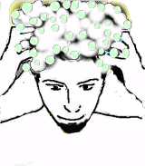 mastershampoo1.gif